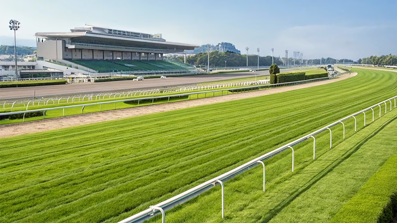 阪神競馬場 競馬場の競馬血統分析画像