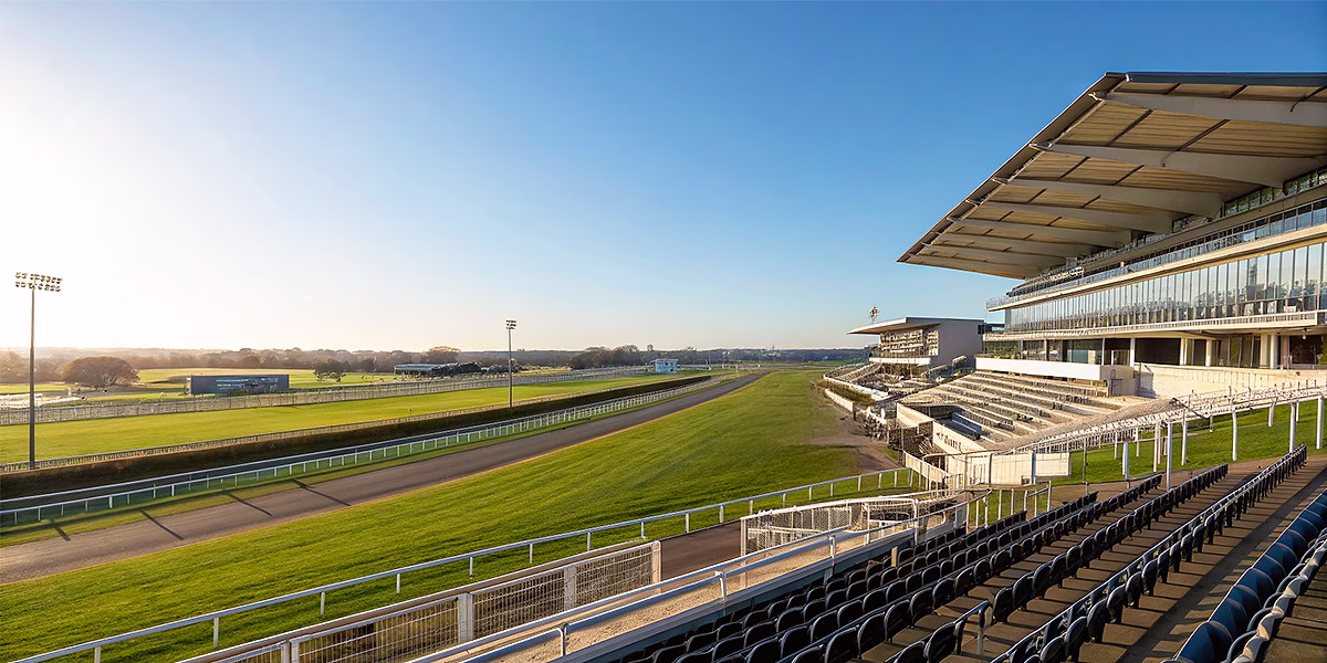 hero 競馬場 grandstand 1 avifの重賞レース画像