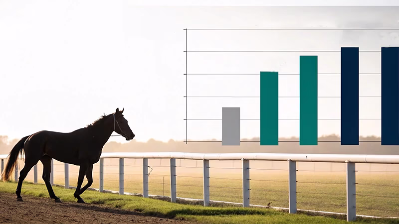 中山競馬場の競馬血統分析イメージ画像