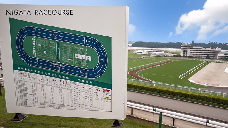 新潟競馬場コース特徴と血統適性の解説図