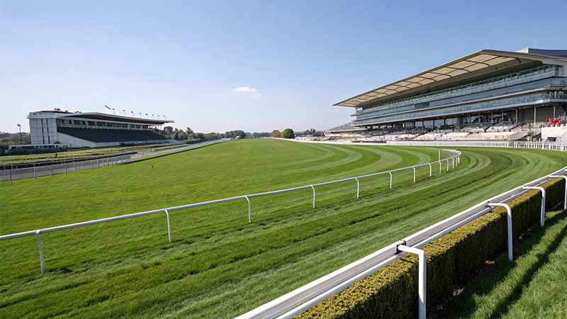 東京競馬場の競馬コースのイメージ画像