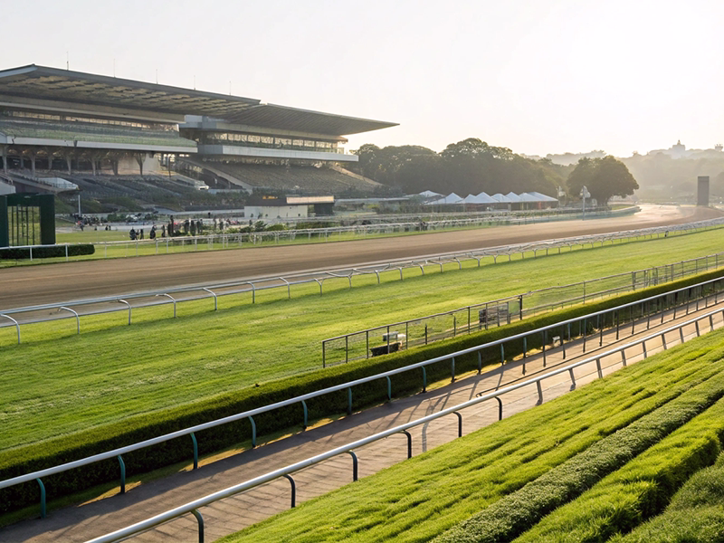 神戸新聞杯の行われる阪神競馬場の風景イメージ画像