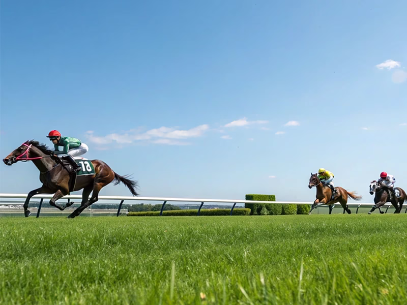 競馬初心者向けに競馬を開設するためのイメージ画像 - 種牡馬基礎: 初心者向け｜競馬の仕組みと楽しみ方｜買い方から予想のコツまでわかりやすく解説