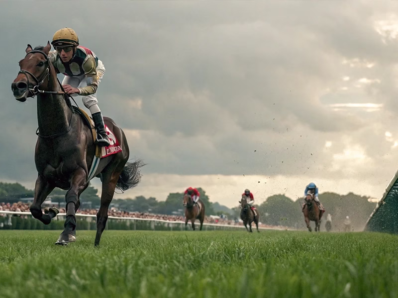 種牡馬から産駒へ能力継承される競走馬の走行パフォーマンスのイメージ画像