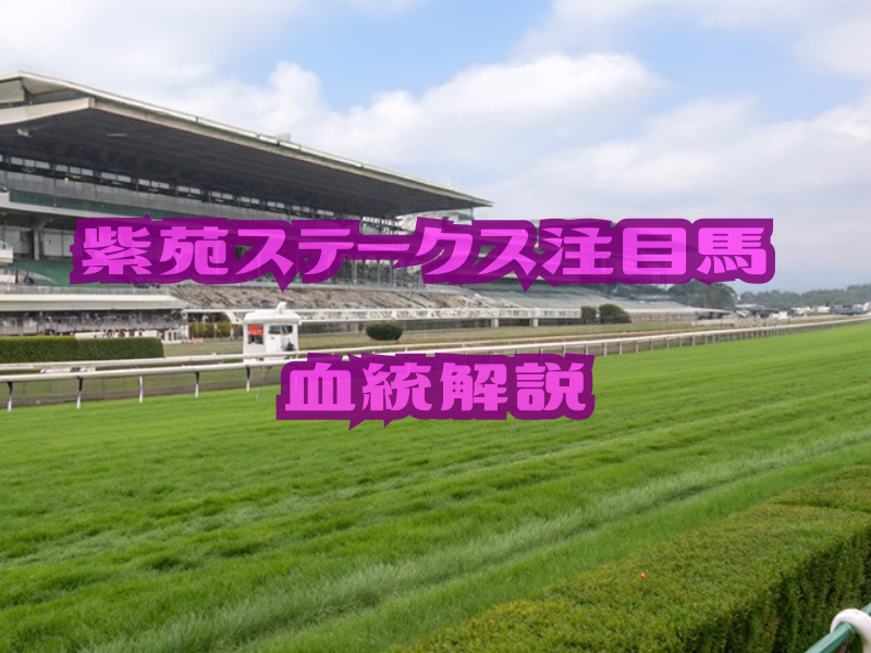 紫苑ステークスが開催される中山競馬場の芝コース風景のイメージ画像 - 血統理論: 紫苑ステークス（G2）注目馬の血統分析｜リンクスティップとダノンフェアレディ