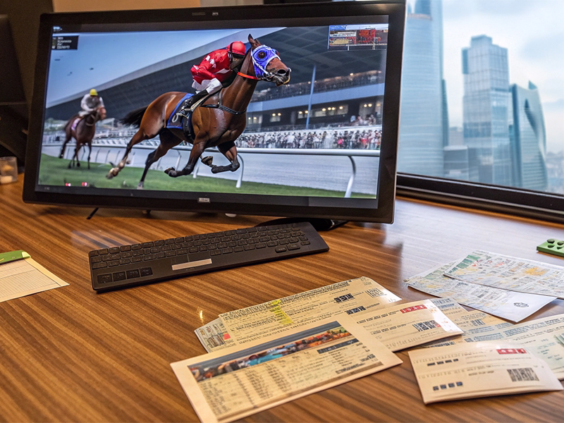 競馬の馬券と競馬場のモニター画面|血統分析と予想に使用する競馬資料