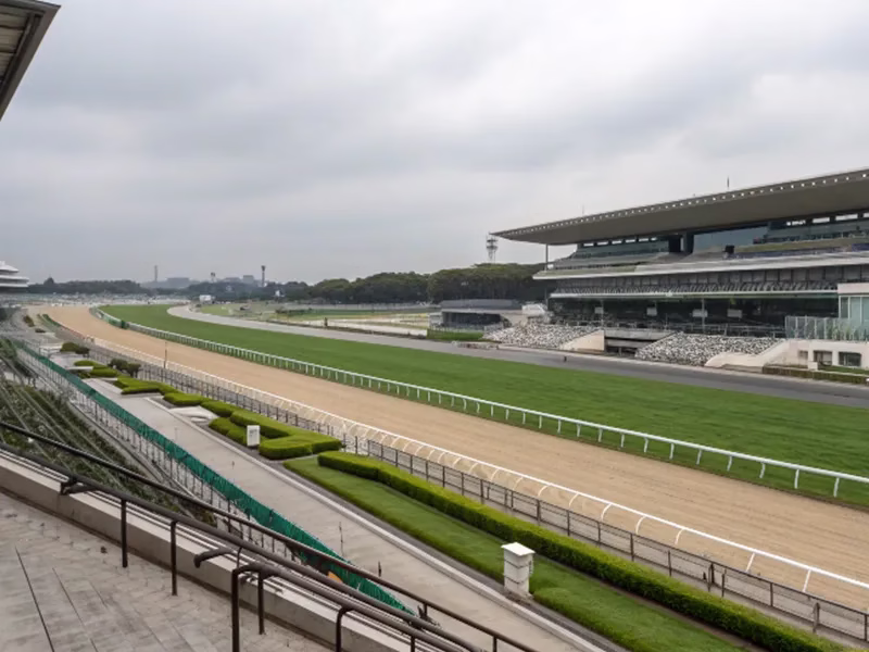 スワンステークスが行われる秋の京都競馬場芝1400mコースイメージ画像