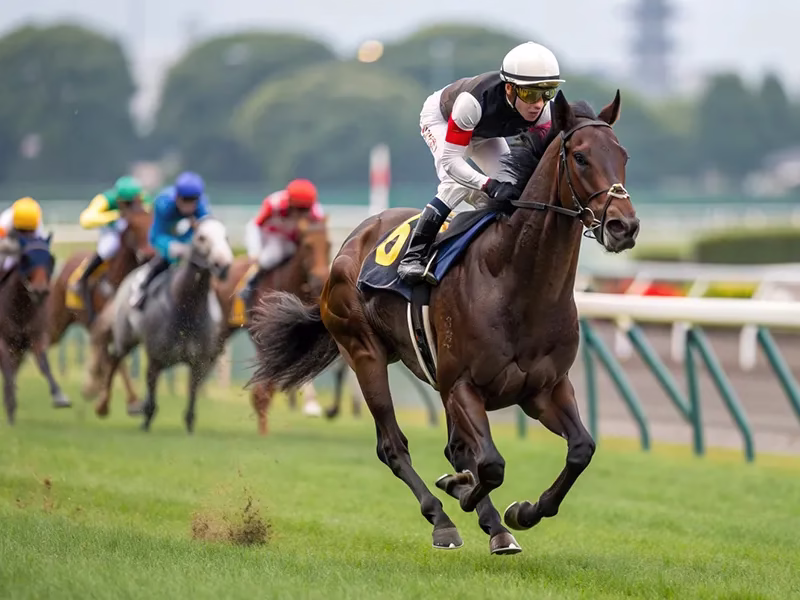 東京競馬場芝1600mコースの特徴と血統適性のイメージ画像