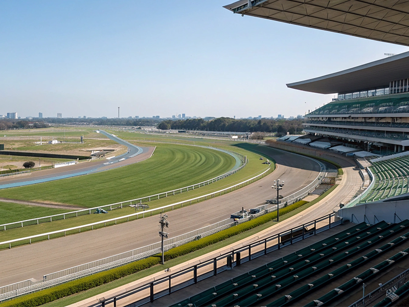 デイリー杯2歳ステークス2025注目馬血統分析