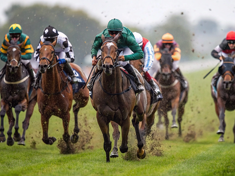 デイリー杯2歳ステークス過去5年血統データ分析iイメージ画像