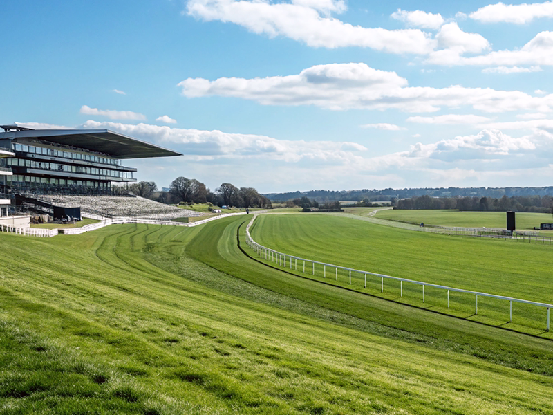 日本の主要競馬場と海外血統の適性関係を示したマッ