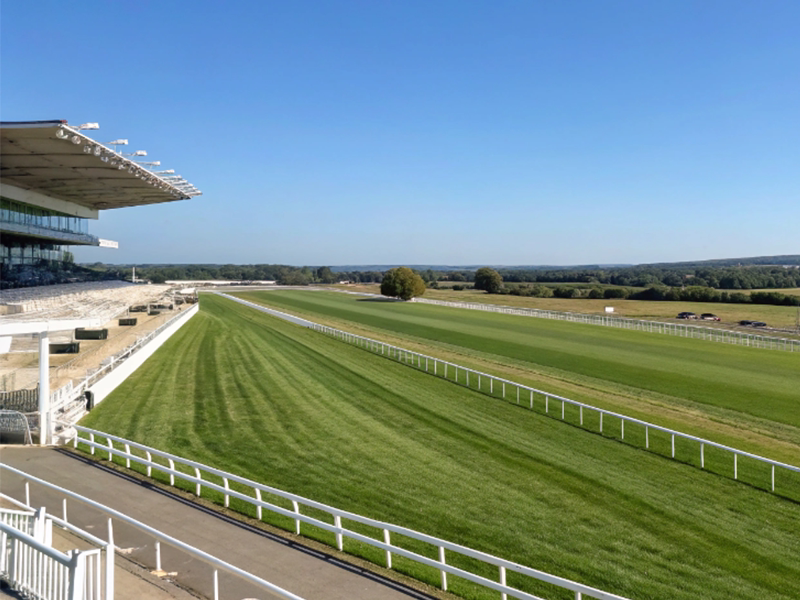 東京競馬場芝2500mコースの風景イメージ画像