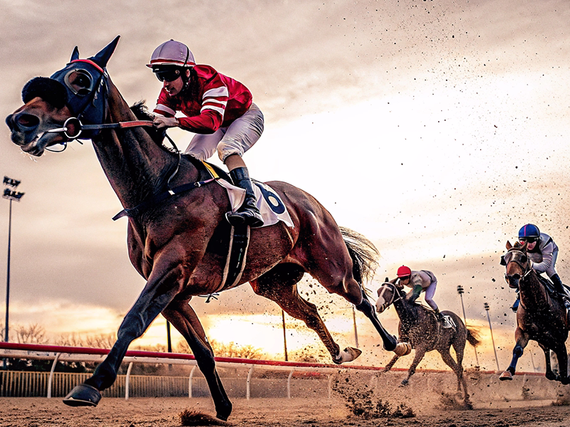 ダート短距離レースでの競走馬の走行シーン