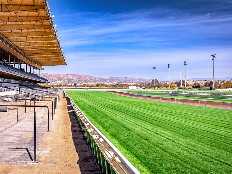 中山競馬場芝2000mコースの特徴と血統適性
