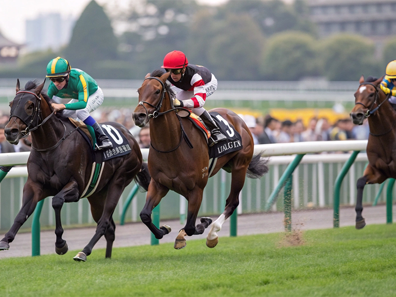 G1レースでの競走馬のレースシーン