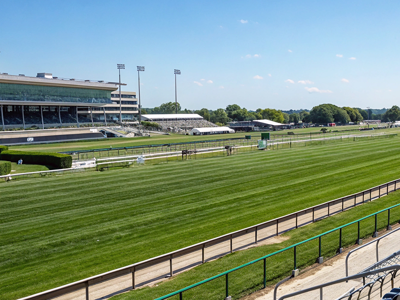 中山競馬場芝1600mコースレイアウトと急坂のイメージ画像