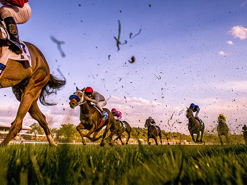 ターコイズステークス中山競馬場レーシーンのイメージ画像