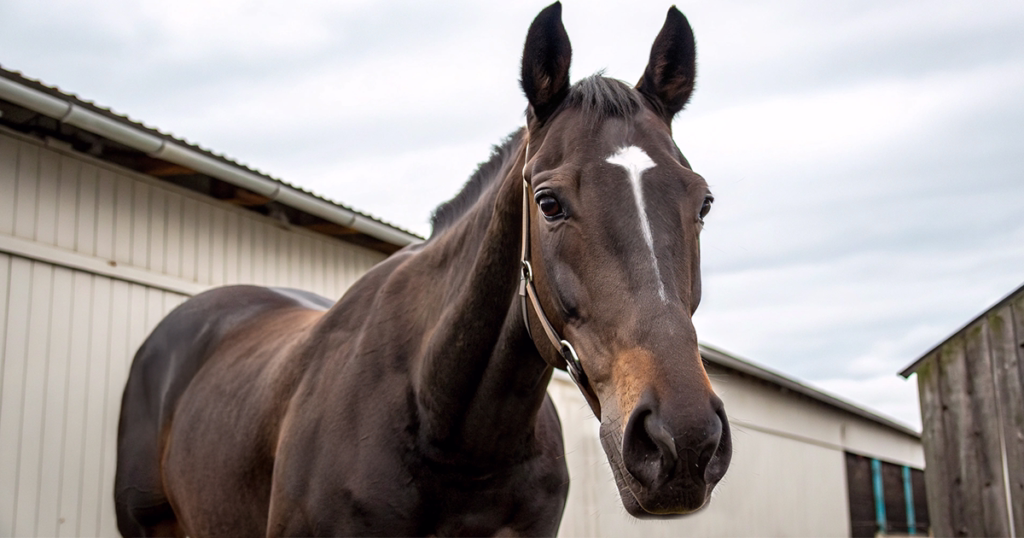 エピファネイア産駒の血統分析と競走成績データ - Uncategorized: エピファネイア産駒の特徴｜血統分析と馬券攻略法