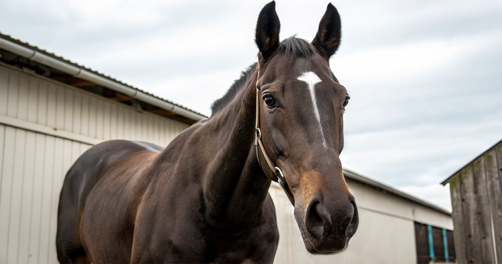 エピファネイア産駒の血統分析と競走成績データ - Uncategorized: エピファネイア産駒の特徴｜血統分析と馬券攻略法