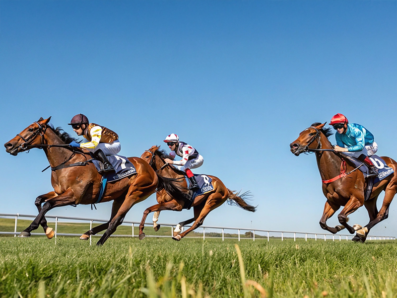 エピファネイア産駒の芝中距離レース走行シーンのイメージ画像