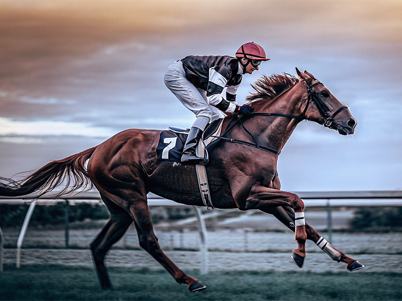 スプリント戦で力走する競走馬イメージ画像
