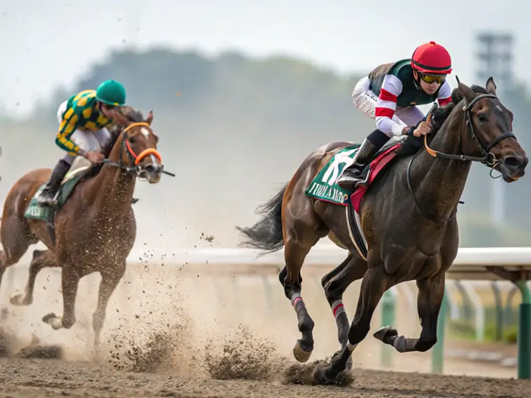 東京ダート1600mを走る競走馬のイメージ画像