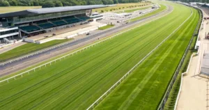 阪神競馬場が得意な血統・種牡馬｜重馬場・道悪での適性を解説