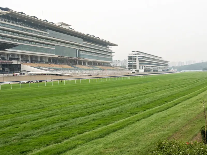 中山競馬場のコースと血統傾向