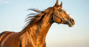 オルフェーヴル産駒の特徴｜血統と適性を徹底解説