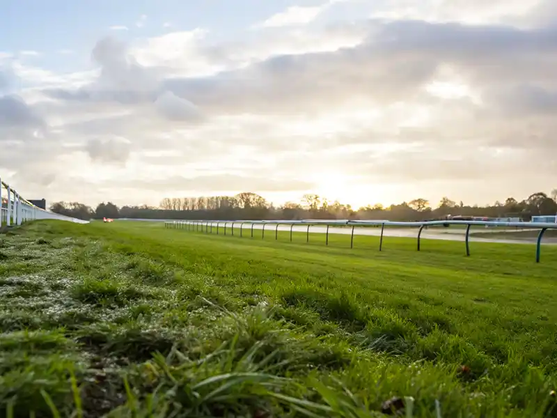 稍重・不良馬場に強いルーラーシップ産駒の特徴