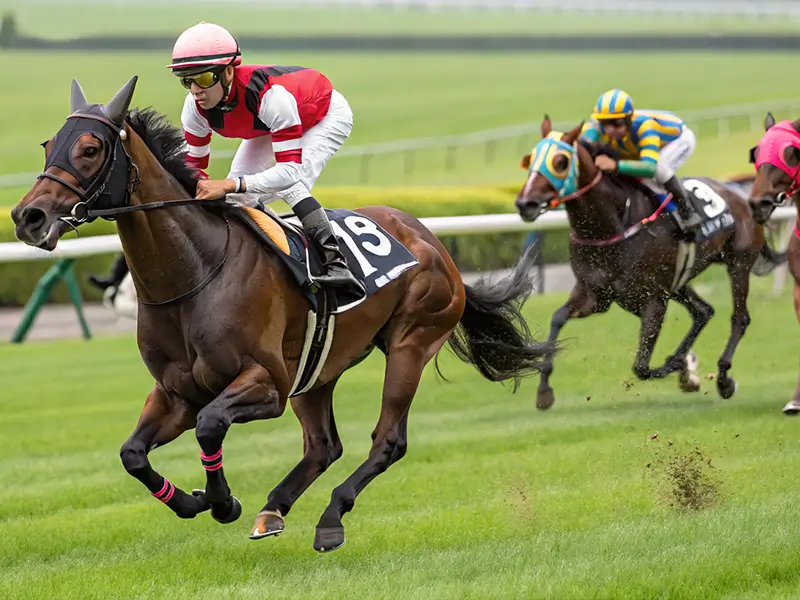 高松宮記念2026 中京競馬場レースシーン