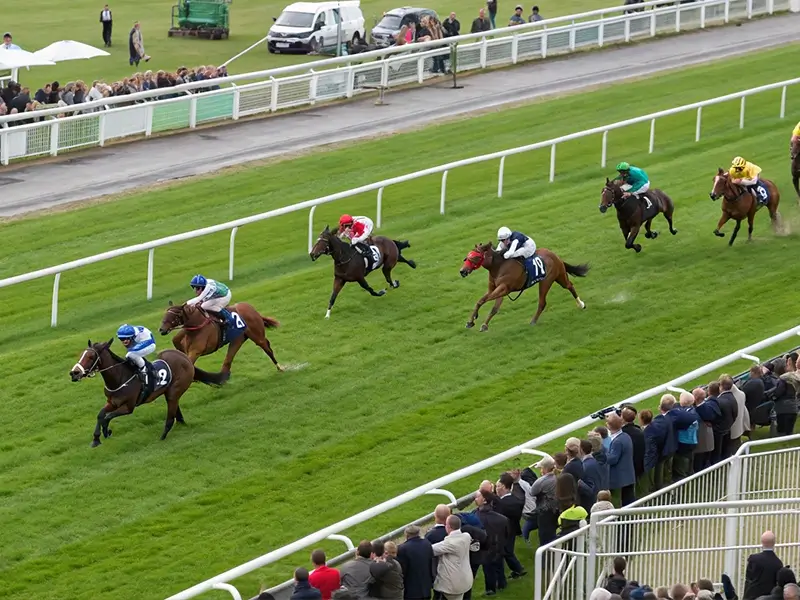 東京競馬場のレースシーンイメージ
