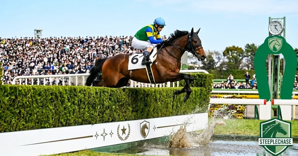 競馬の障害レースとは画像 競馬の障害レースの基本・血統・FAQ解説 - 血統解説: 競馬の障害レースを徹底解説|種類・血統・荒れる理由まで