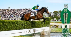 競馬の障害レースを徹底解説｜種類・血統・荒れる理由まで