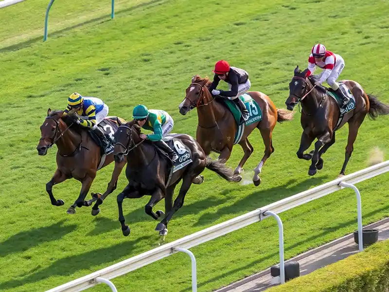 競馬マイルレースのワンシーン