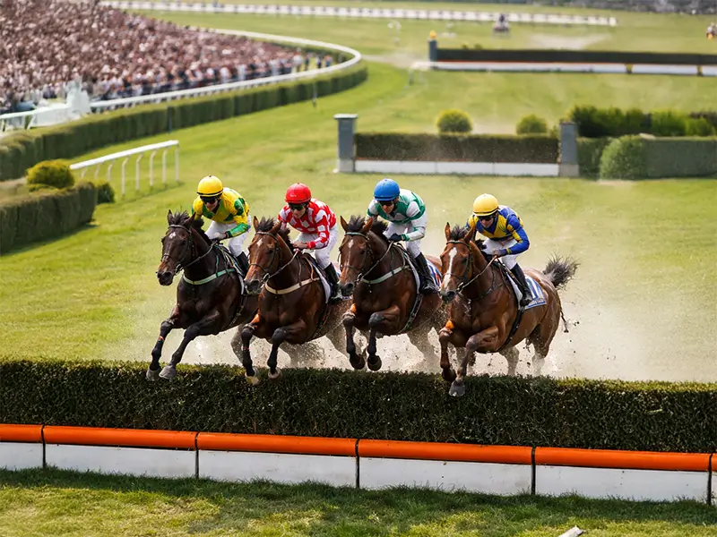 障害レースで馬が障害を飛越するシーン