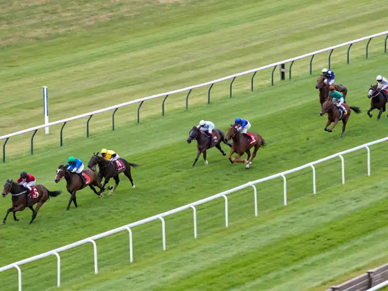 天皇賞春2026 京都競馬場芝3200mのレースシーン