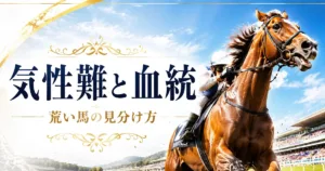 気性難の競走馬とは？荒い馬の見分け方から血統・馬具まで解説