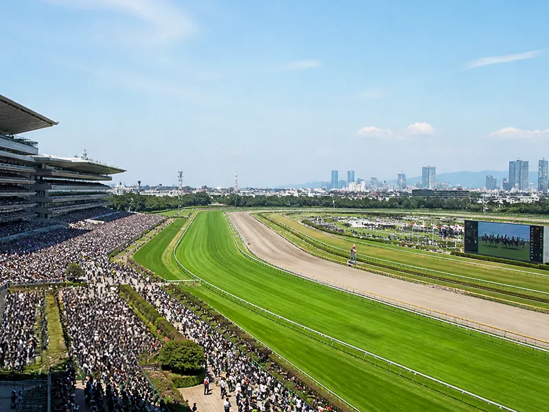1200m戦が開催される競馬場のコース全景