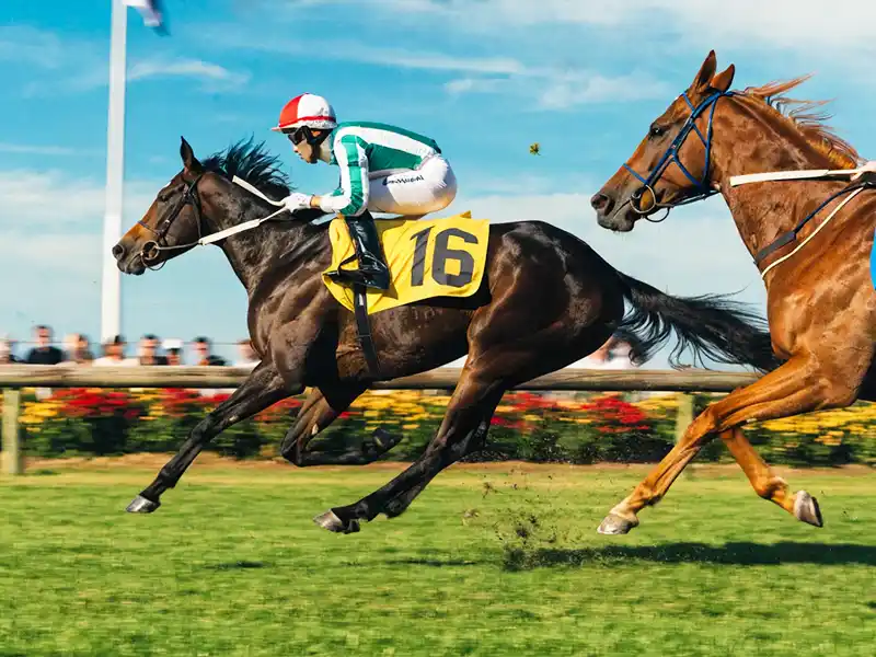 ヴィクトリアマイル2026 東京競馬場のレースシーン