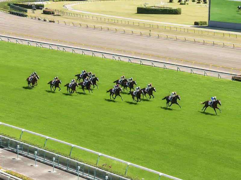 中京競馬場レースシーン・直線の攻防