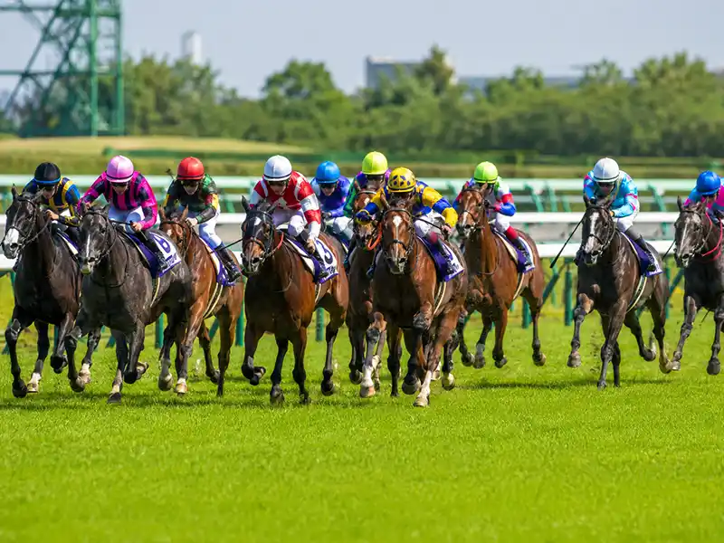 安田記念2026の血統傾向と出走馬データ