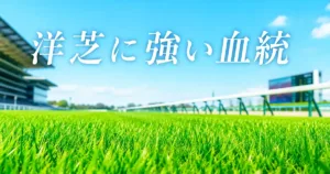 洋芝に強い血統｜函館・札幌で勝てる種牡馬と重馬場適性を解説