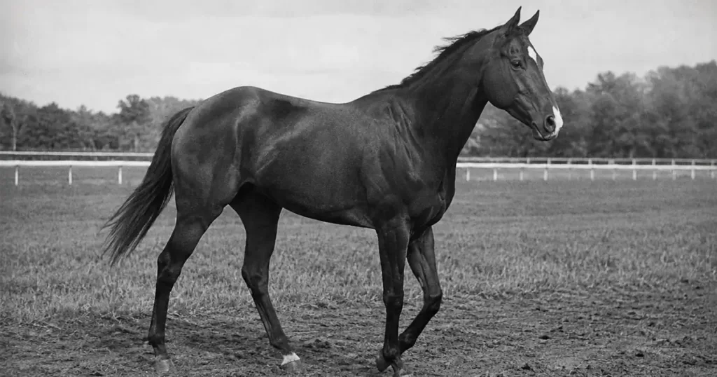 ダンジグ系の血統分析と種牡馬系統データ - Uncategorized: ダンジグ系とは？種牡馬・特徴・日本と後継を解説
