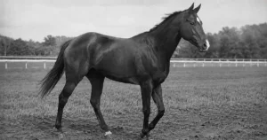ダンジグ系とは？種牡馬・特徴・日本と後継を解説